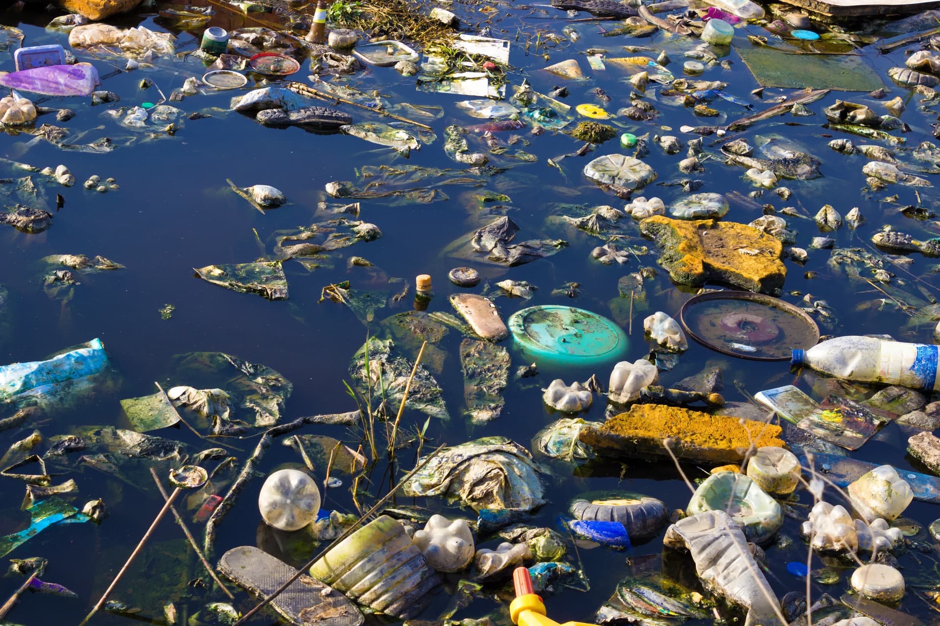 Plastic pollution on a shoreline