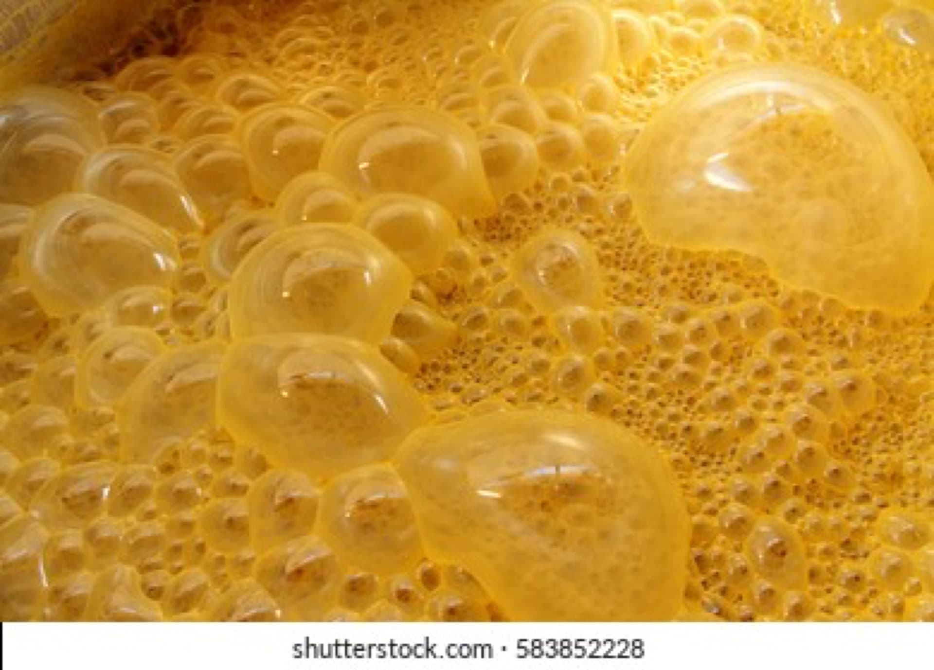 Fermentation of sugar